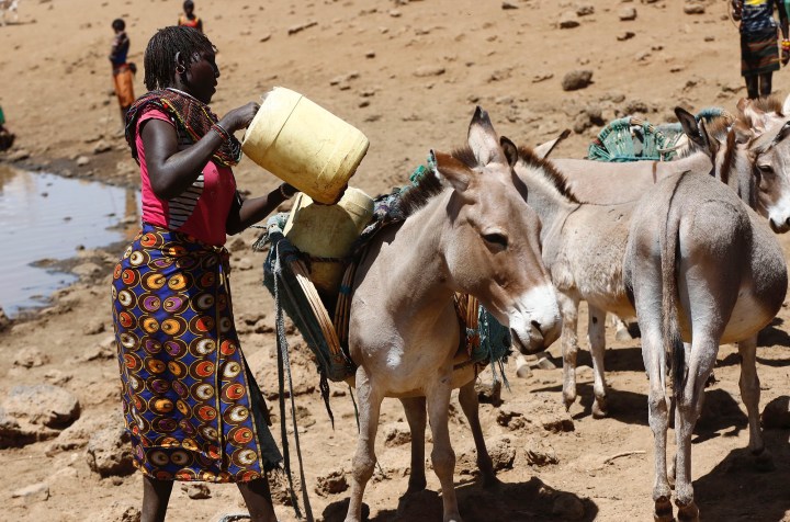 Kenya’s recent ban on the export of donkey skins to China faces legal challenges