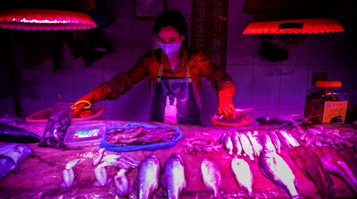 The Covid-19 pandemic is a stark warning about the international wildlife trade, and China’s role in it