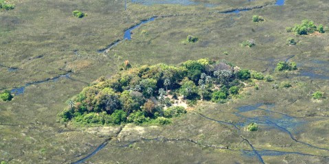 Paradise is closing down: The ghastly spectre of oil drilling and fracking in fragile Okavango Delta