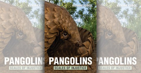 Pangolins: Scales of Injustice by Richard Peirce