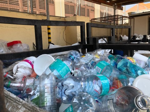 From plastic bottle to … plastic bottle: how Cape Town recycles