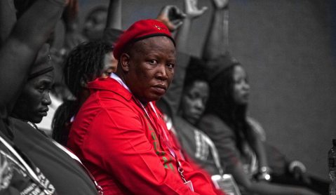 TRAINSPOTTER: Life in Malemaland – a detailed look at the EFF’s local election manifesto