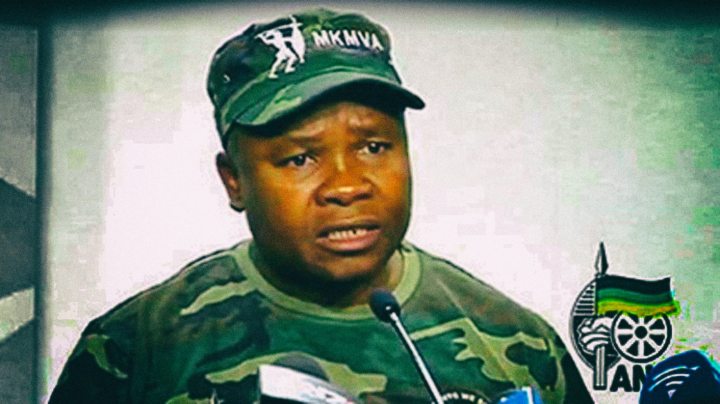TRAINSPOTTER: My Own Private Army – on militias, camouflage, and the ANC’s war against the ANC