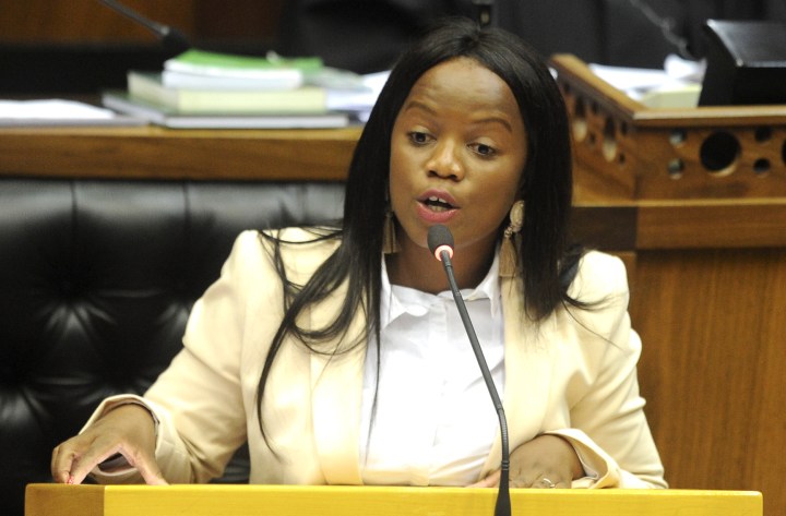 Van Damme quits parliament but remains a DA member, she and party confirm