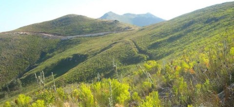 Why raising the bar in Environmental Impact Assessments is critical to enhance social and ecological justice in South Africa