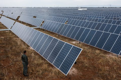 World’s largest solar tech leader partners with SA PV panel maker to meet IPP programme’s demands