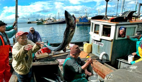 Op-Ed: The Promise and Peril of small-scale fishing co-operatives in South Africa