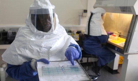 Guinea battles with Ebola-like virus