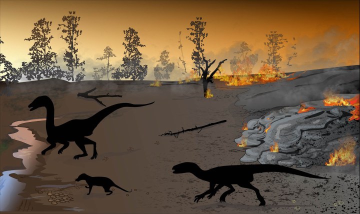 On the trail of dinosaurs in the Free State