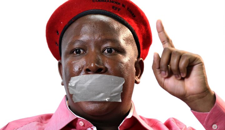 A luta continua: defending Malema and Mabulu’s right to express themselves