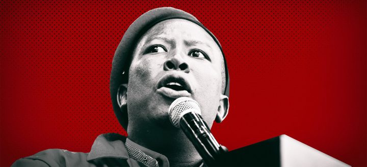 The EFF and the question of the single election