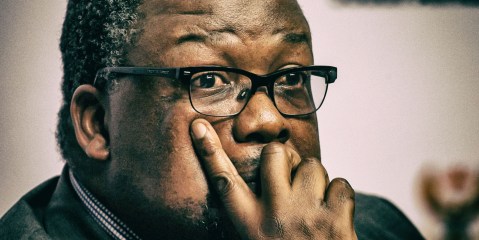 Nathi Nhleko’s world: Tree of Origin trumps democratic law — and whose laws are these anyway?