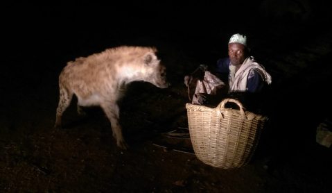 A close encounter of wild kind: The hyena men of Harar