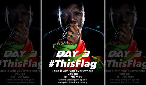 The simple genius of Zimbabwe’s #ThisFlag protest, and the man who started it
