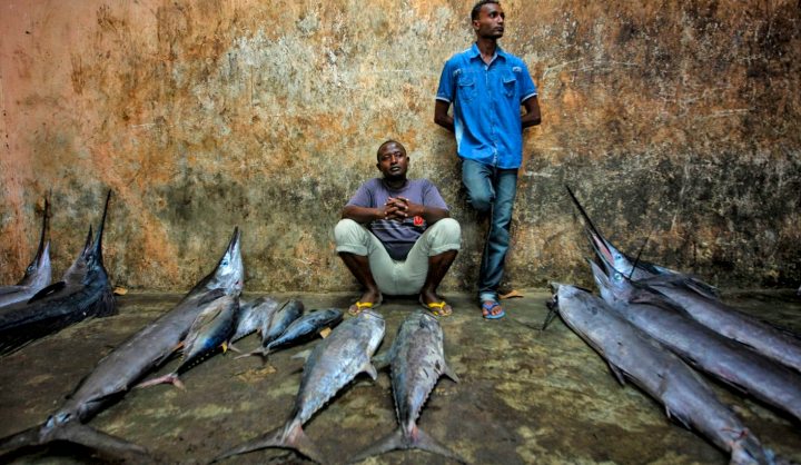 Somalia: Will decimated fish stocks force desperate fishers into piracy again?