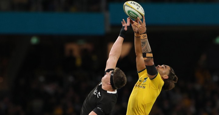 Bledisloe Cup marks a first step back to rugby ‘normality’