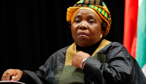 ‘A servant of Africans, not South Africa’: Dlamini-Zuma’s ground rules