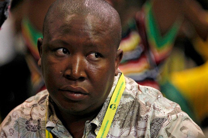 Malema and the Disciplinary Committee: A Rough Guide
