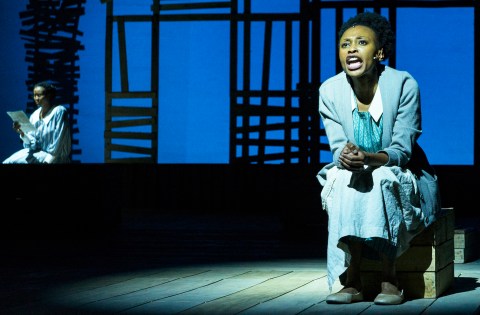 The Color Purple – Why the Show Matters for our Democracy