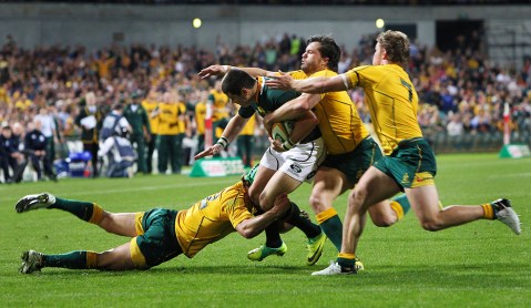 Rugby Championship: Springboks Hungry for Wallaby Meat