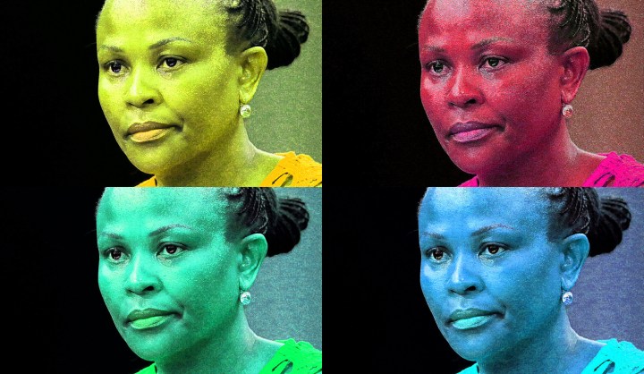 Harsh judgments on public protector’s rulings highlight the fault lines in SA’s legal training