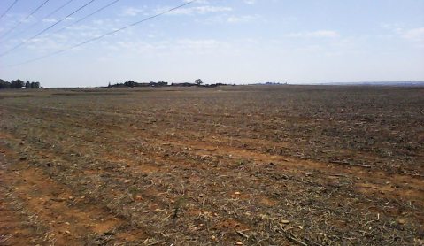 Farmers: Ten days to save Gauteng’s crops