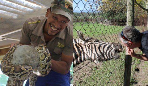We lost a zoo: Western Cape’s only zoo closes