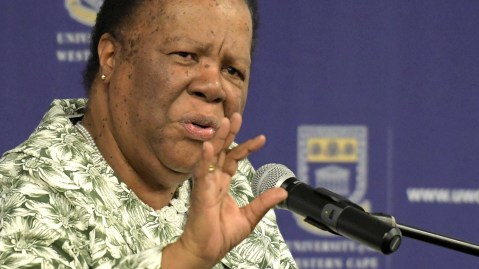 Naledi Pandor urges SA business to seize opportunities Russia presents