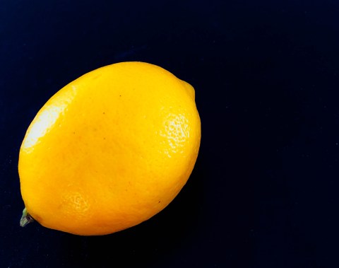 Lemon Twist: When fate sours your plans, you have to rind it out