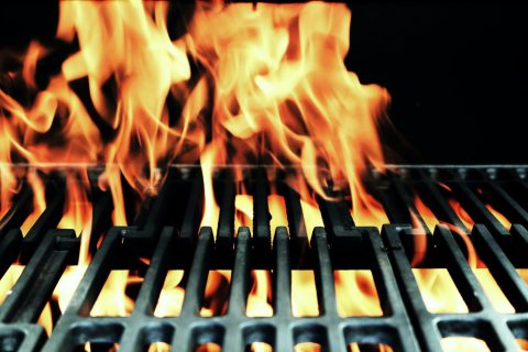 Organic charcoal entrepreneur keeps fires lit under South African braais