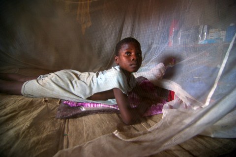 New research tears hole in mozzie net malaria solution