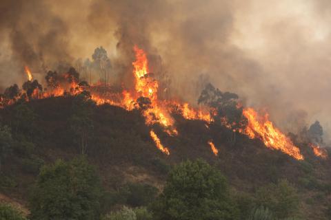 Portugal steps up battle against spreading Algarve wildfire