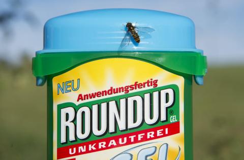Monsanto Roundup Attacks Healthy Gut Bacteria, Lawsuit Says