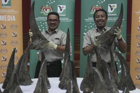Malaysia makes record $12-mn rhino horn seizure