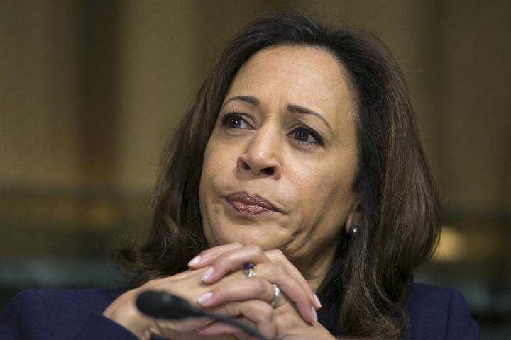 Storm in a US teacup: Just how (African) American is Kamala Harris?