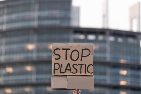 Plastics have entered human food chain, study shows