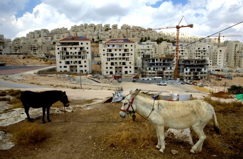 Israelis halt the construction of new settlements, for now and NOT in East Jerusalem
