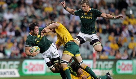 Rugby Championship: Boks with no spring