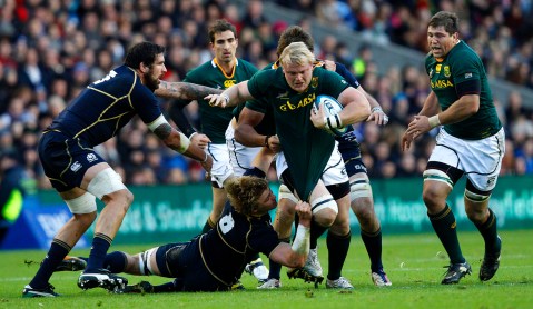 Boks running more scared than ever