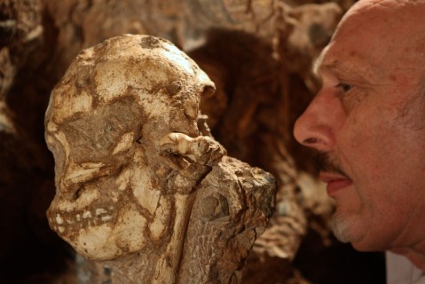 SA’s most complete human ancestor — a bone of contention