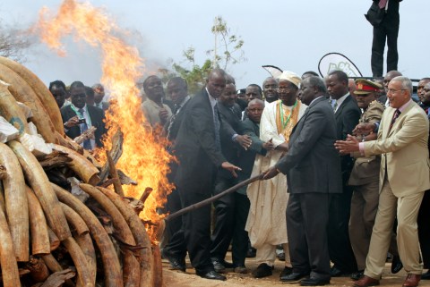 Kenya incinerates illegal ivory in a bonfire of eternal damnation