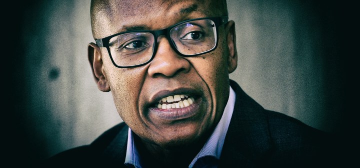 Mzwanele Manyi: Valuable addition to Parliament’s back benches – or a Gupta stooge in the house?