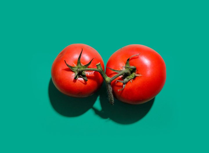 The humble tomato – a world favourite that was once feared in Europe