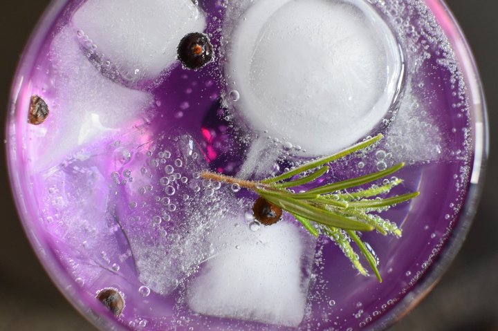 The craft gin scene is a phenomenon – but beware of fakes