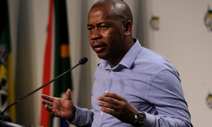 ANC’s Young Lions: A plan to roar again