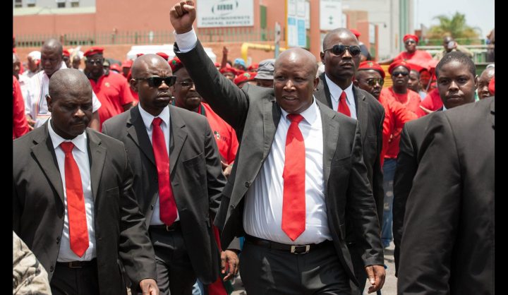Malema gets freedom to fight 2014 elections