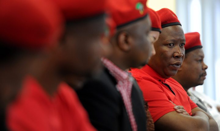 Analysis: EFF is still light years away from being a real political power