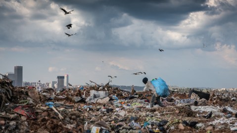 Joburg waste pickers face routine harassment