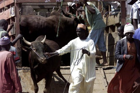 Herdsmen crisis underscores Nigeria’s complex security threats
