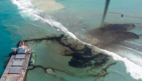 Lessons for Africa from devastating Mauritius oil spill
